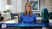 Pocka Dola: Carpet Cleaning Melbourne Abbotsford PerfectFive Star Review by Linda M.