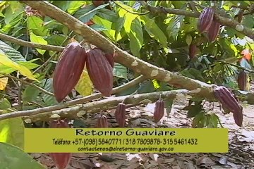 14 de septiembre de 2015 Fiesta del Campesino El Retorno, Guaviare