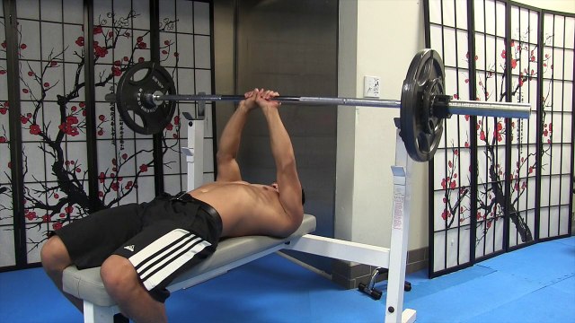 Fitness Test - Triceps Bench Your Weight - 145 lbs X 10 Reps @ 145 lbs