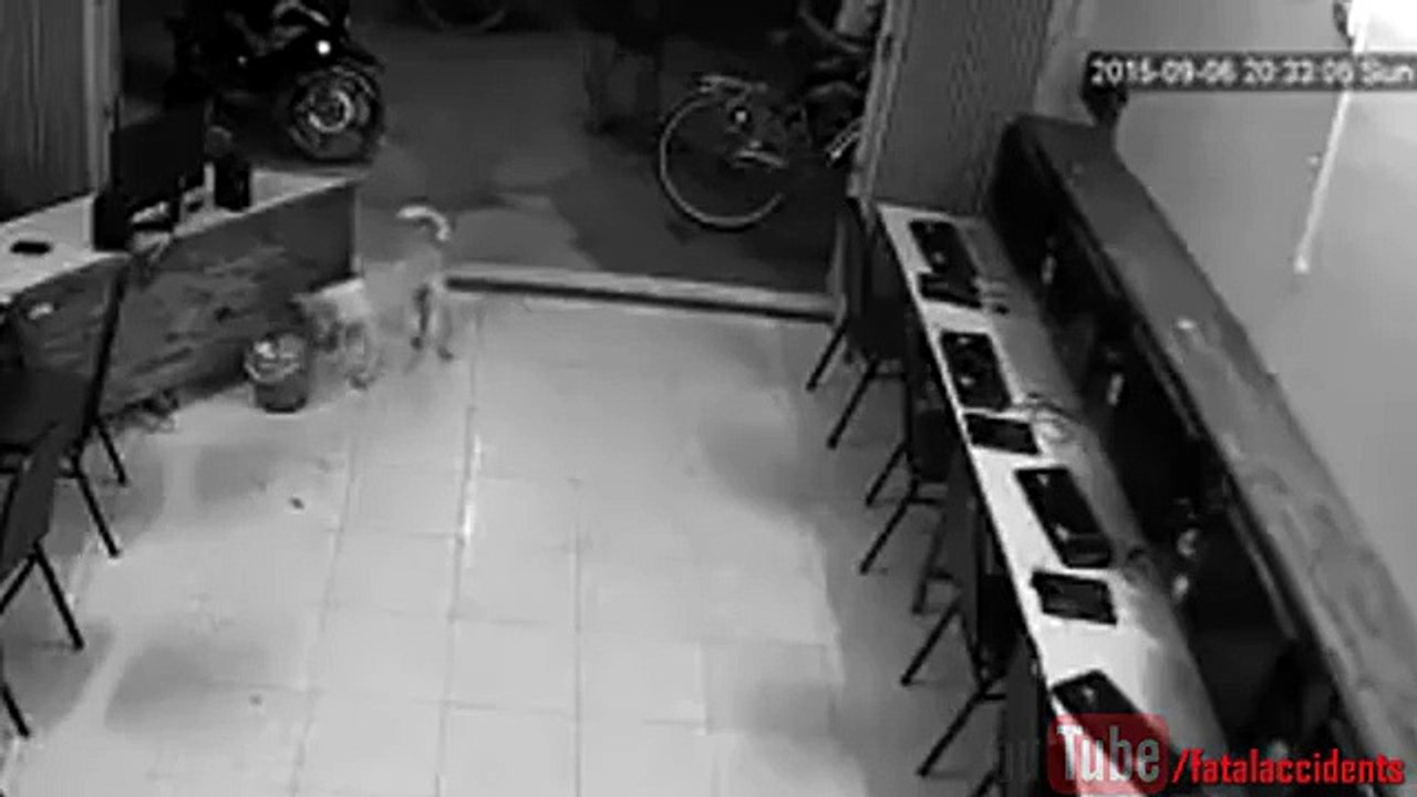 Instant Karma for Dog Abuser