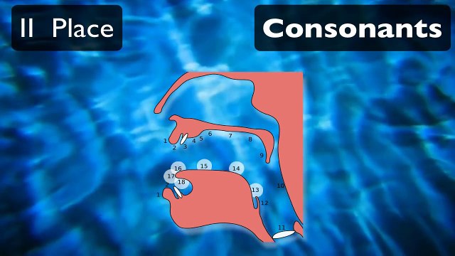 Pronunciation Tutorial 1_ English Pronunciation and IPA_ Voicing and Place