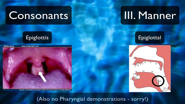 Pronunciation Tutorial 2_ English Pronunciation and IPA_ Manner
