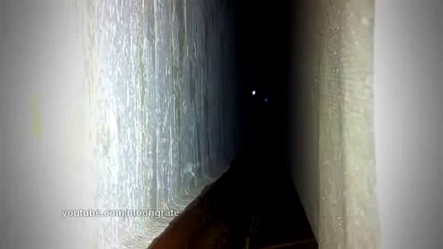 Кот Демон - фильм ужасов!