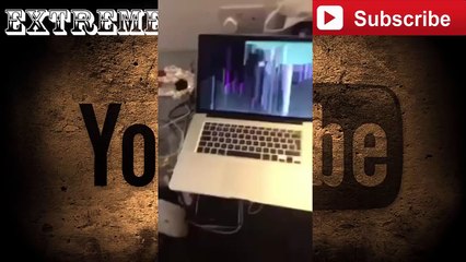 Dude-Doesn't-Play-When-He-Finds-Out-His-Girl-