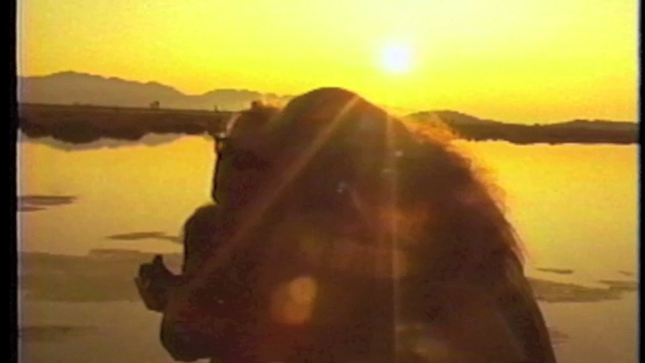 The Roller Blade Seven - Scott Shaw Zen Filmmaking