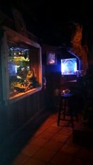 Kava Bar