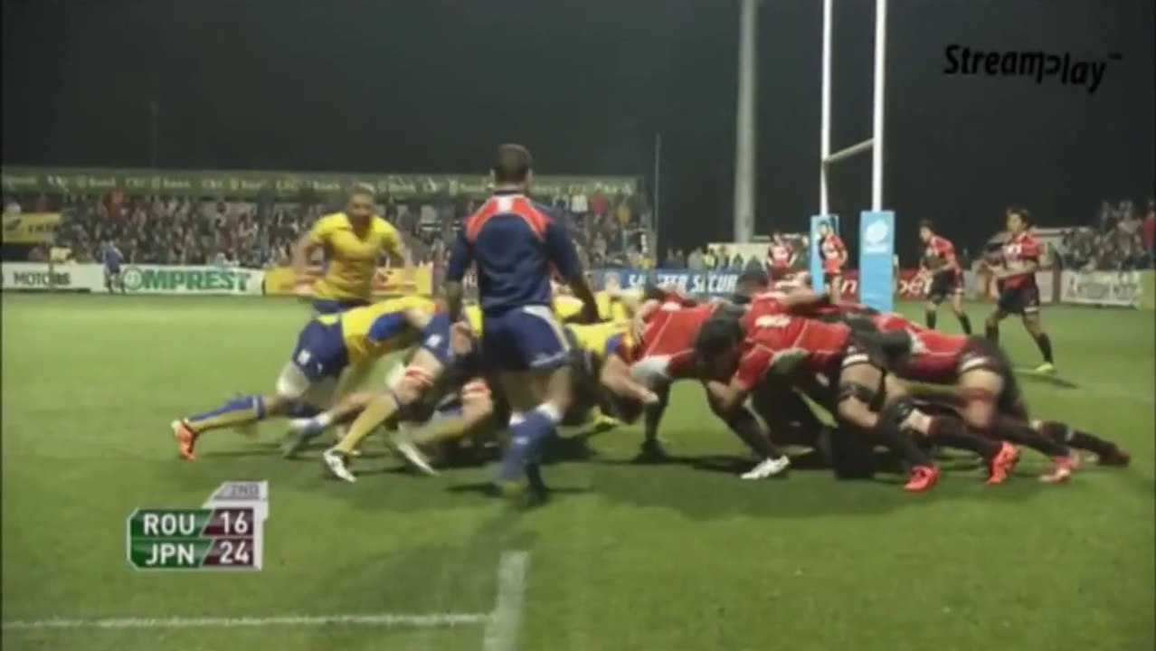 Japan's One Year Scrum Transformation
