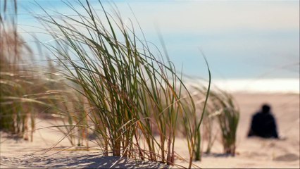 Miley Cyrus ‘Hands Of Love’ – Freeheld