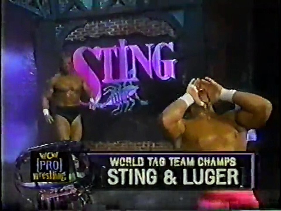 Sting & Lex Luger vs. Public Enemy