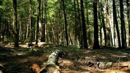 Life-is-Calling:-Episode-3-Pembroke,-Ontario