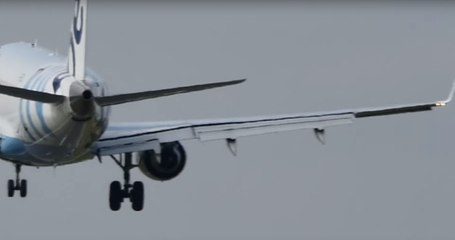 Bird vs Plane: Who Will Emerge Victorious?