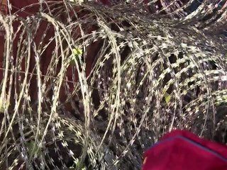 Réfugiés: l'UE échoue à s'entendre, la Hongrie ferme sa frontière