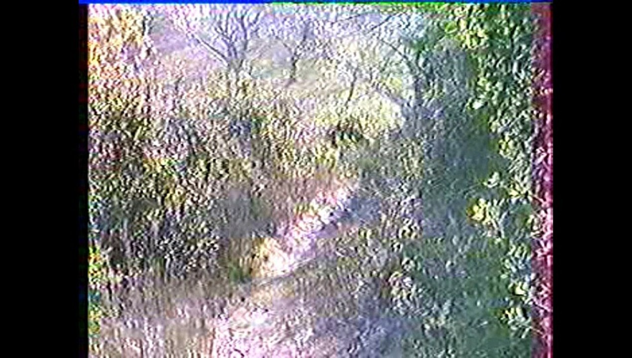 paysages de cerisiers fleuris 2