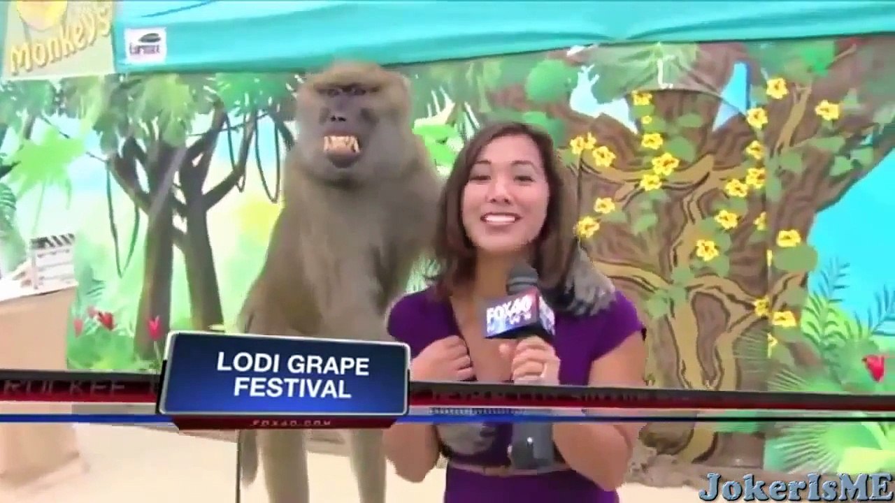 Funny videos : Funniest laughing bloopers ever