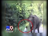 Narrow escape for motorbike rider in 'elephant attack' - Tv9 Gujarati