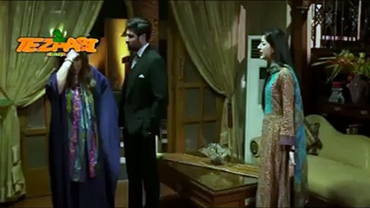 funny videos