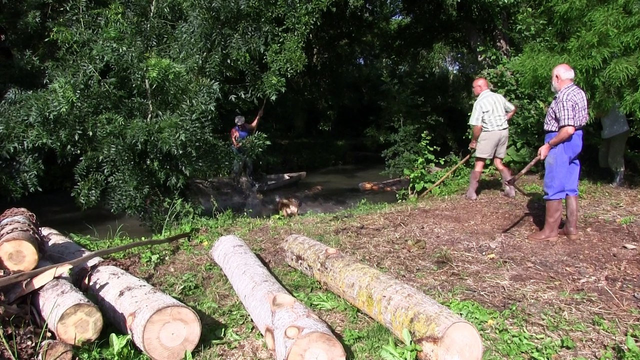 LES "TRAINOUX " D'ARCAIS