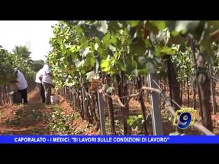 Caporalato, i medici: "Si lavori sulle condizioni di lavoro"