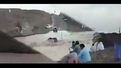 First driver lion heart