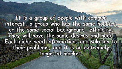 What is a Niche Market?