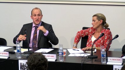 IFR_QsQ#5_"La jurisprudence de la juridiction constitutionnelle et celle d’autres juridict° : de la soumission du juge constitutionnel à sa propre parole à la circulation des doctrines juridictionnelles ?", A. Le Quinio, Université du Sud Toulon Var