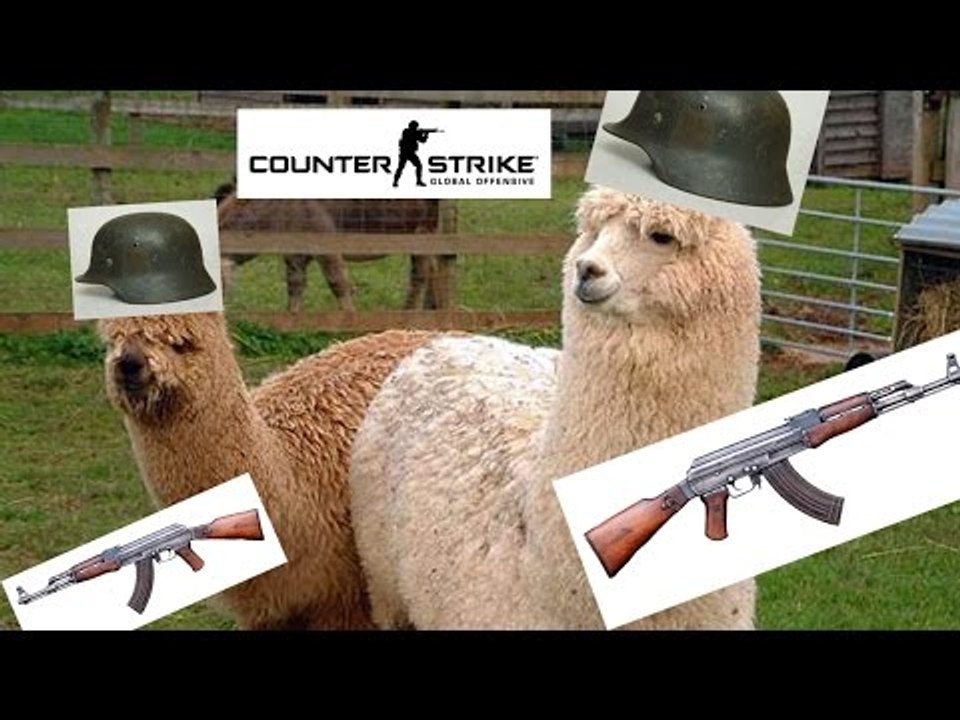 HUNT DOWN THE ALPACA!