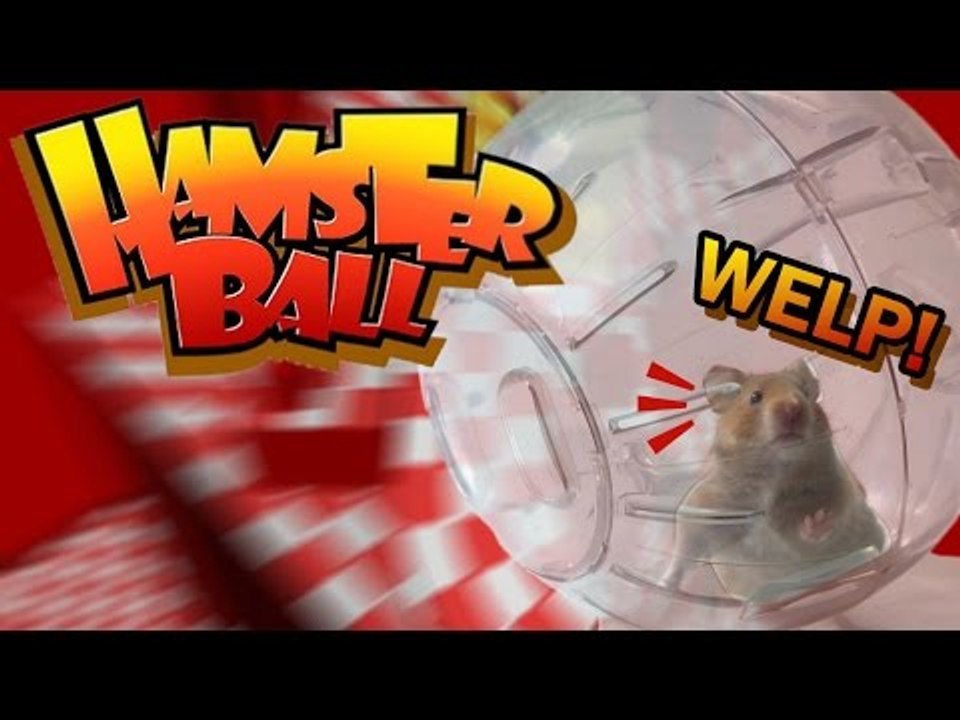 Main Hamsterball
