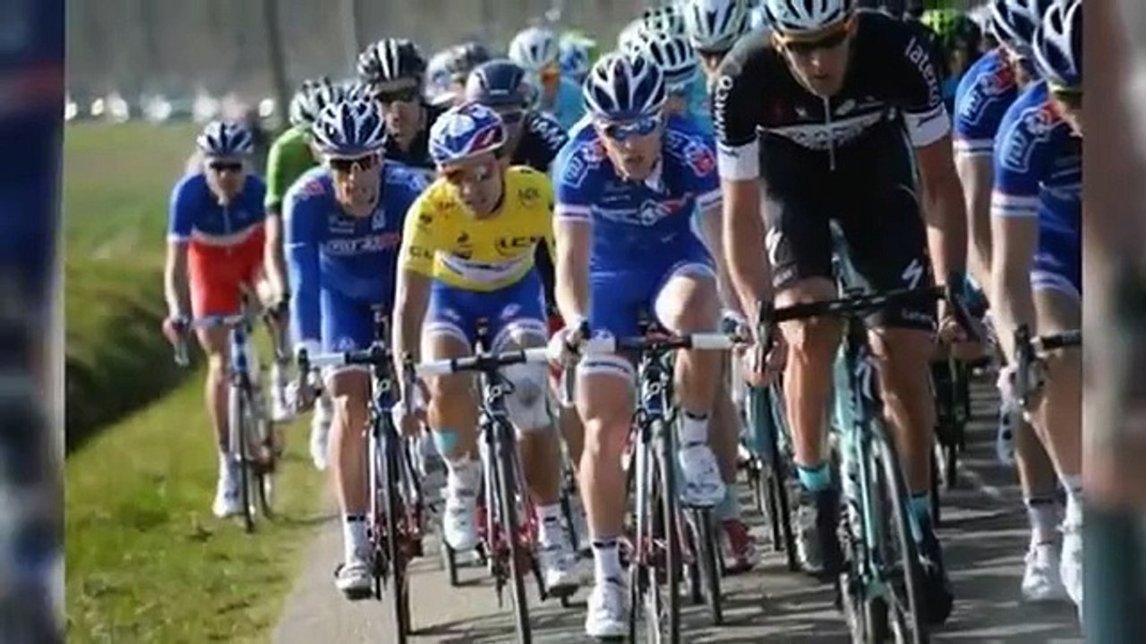 procycleclothing.com - Cycling Clothing, Bike Apparel, Cycling team Kits