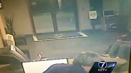 Nebraska : une biche fait irruption dans un hôtel