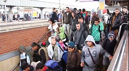 This is called Humanity