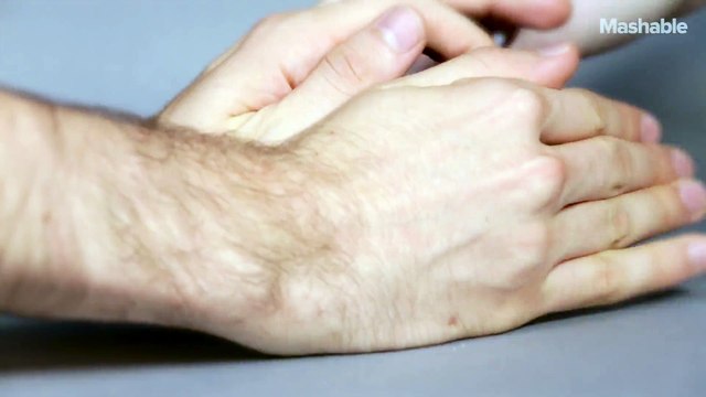 VIDEO parodie de l'evolution beauté d'un hamster en 3 minutes