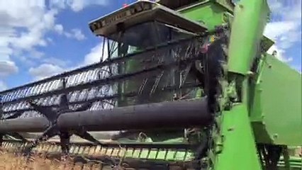 Récolter son colza au bon stade