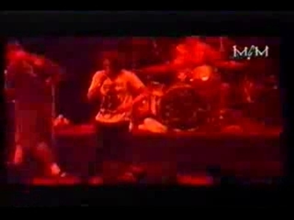 RATM - bulls on Parade (Live)