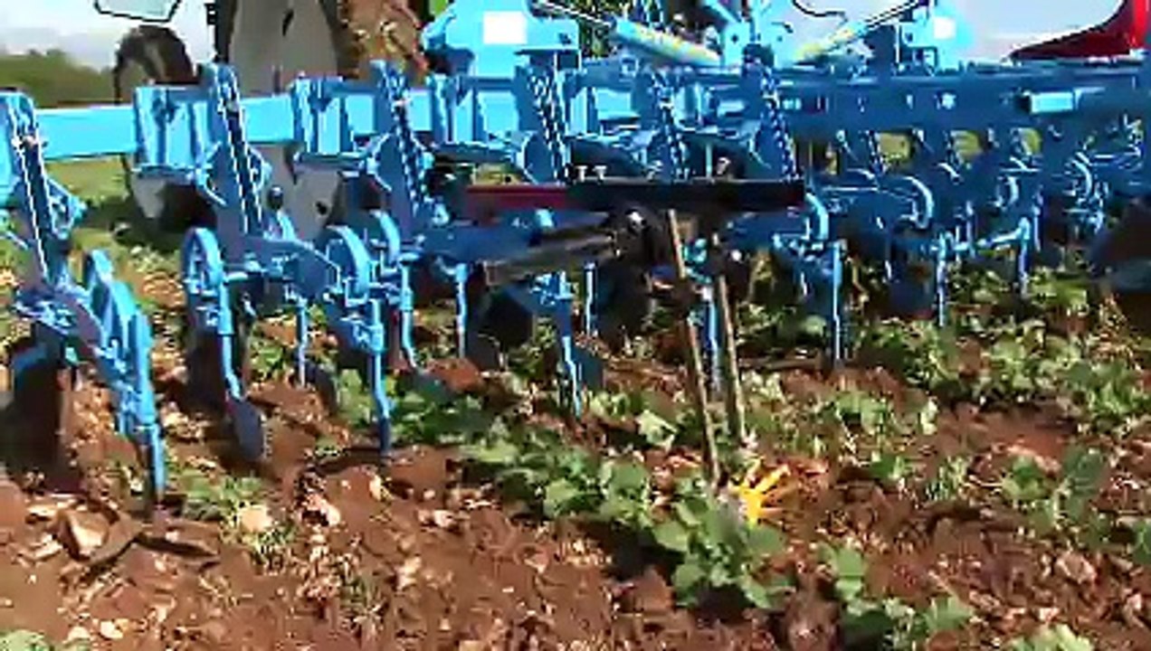 Désherbage mécanique colza - La bineuse