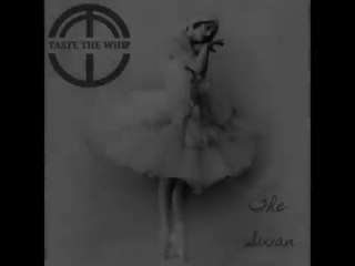 Taste The Whip - West End Turkish Barber Shop