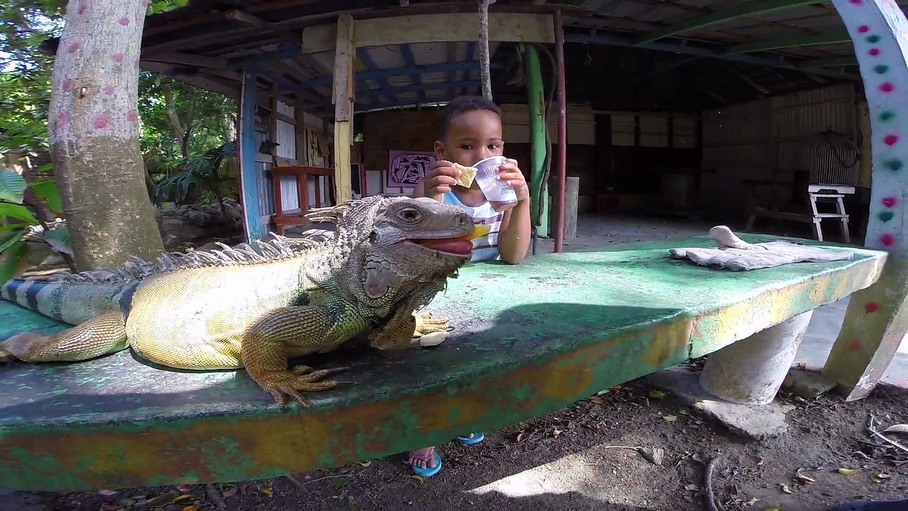 GoPro Dominican Republic 2015