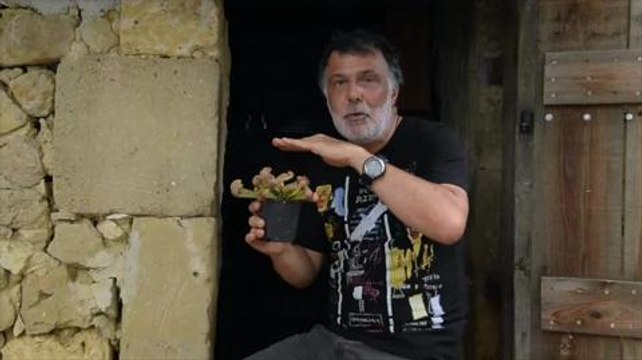 Drôles de carnivores! Les sarracenias. Nature et Paysages pour l'Ami des Jardins.