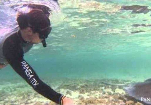 Snorkeler Takes Selfie With Stingray
