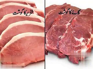 Difference Between Pork and Cow Meat - Video Dailymotion