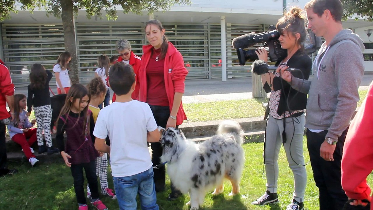 Tap Agility canine : ça tourne!!
