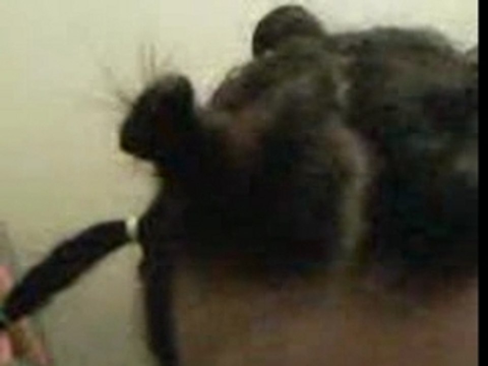 Ma cope de cheveux by ma soeur