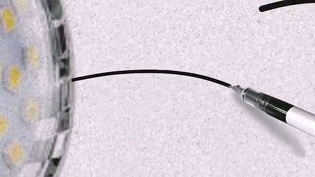 36 SMD Glass Covered 6 5 Watt GU10 LED Bulb