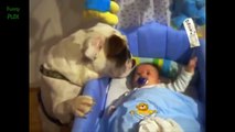 Funny-Baby-Videos---Funniest-Baby-Videos-2015---Funny-Videos-2015