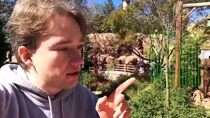 The Image That Can Break Your Brain