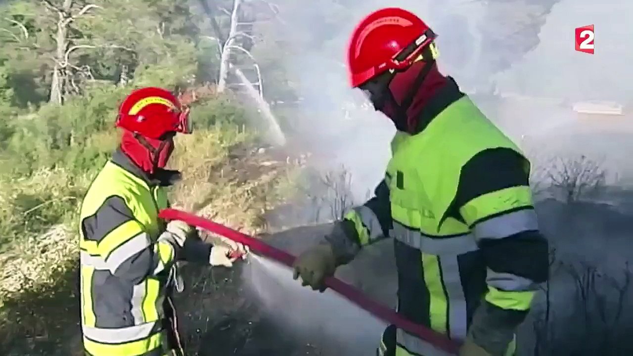 Feu de forêt à Marseille