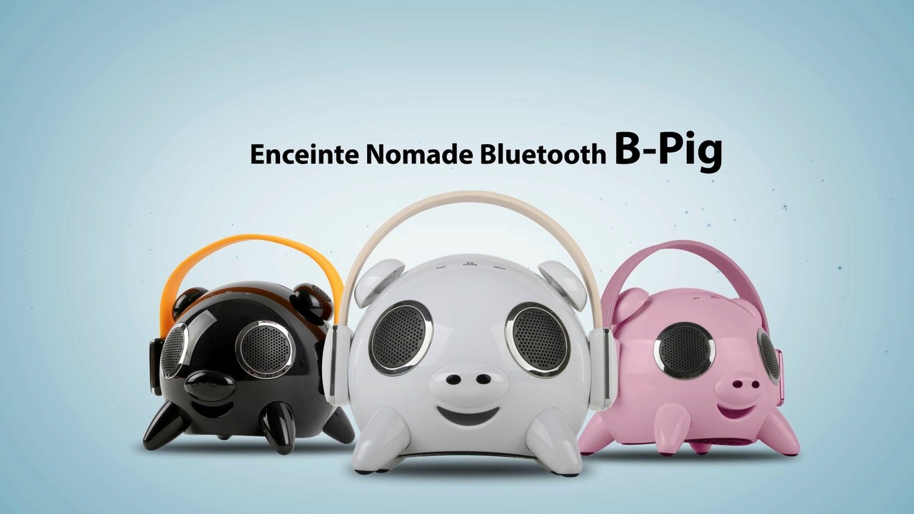 SEDEA Enceinte Bluetooth portable - bpig