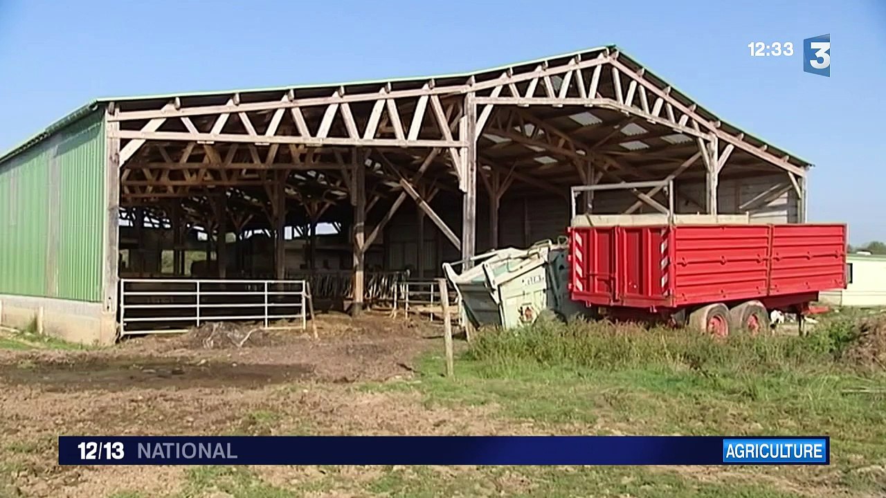 Agriculture : Daniel a abandonné l'élevage pour la production de céréales