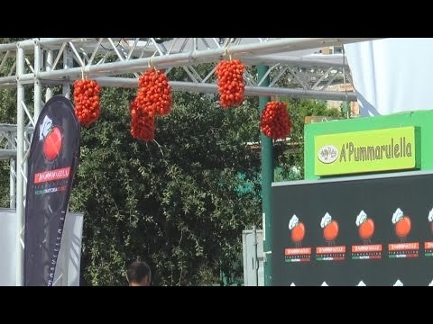 Napoli - L'enogastronomia campana protagonista del Bufala Fest (14.09.15)