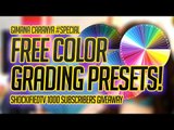 [FREE DOWNLOAD] COLOR GRADING PRESETS FOR AFTER EFFECTS!