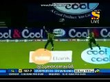 Great Catch by Shahid Afridi ● Career Best Catch